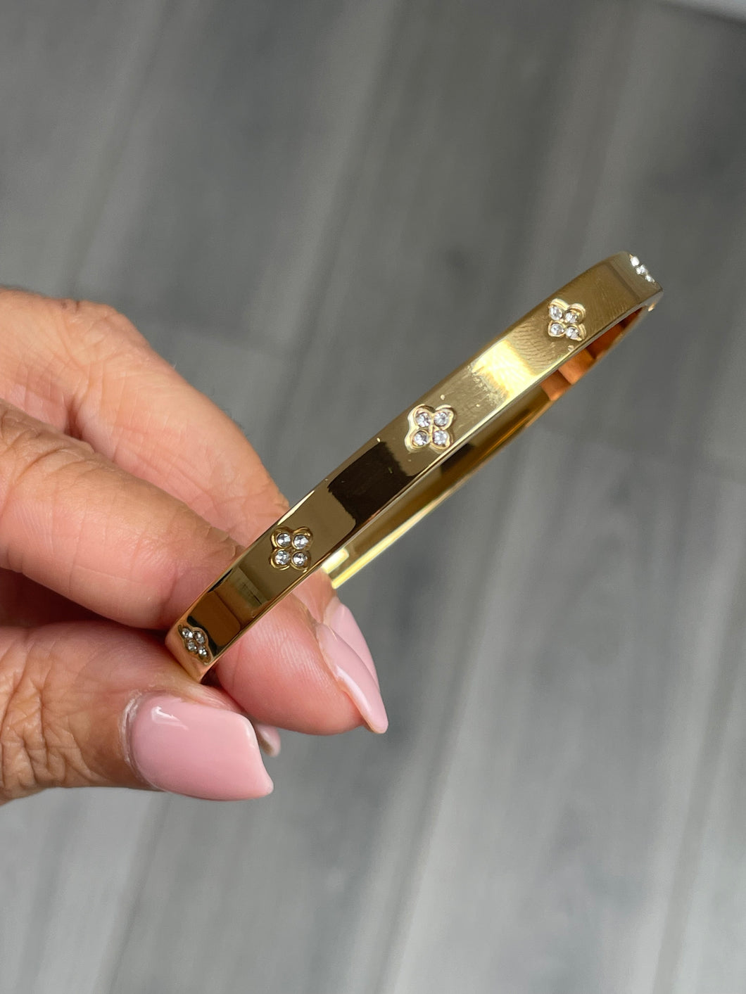 Rosie Hollow Bangle